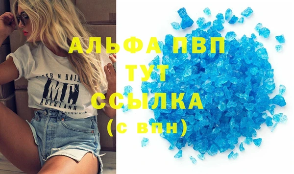 прущие грибы Сосновый Бор