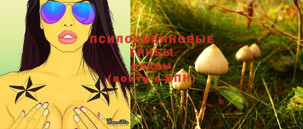 спиды Горно-Алтайск